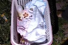 Phát hiện bé gái sơ sinh bị bỏ rơi dưới gốc cây bên đường
