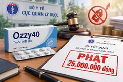 Kê khai sai giá thuốc, Công ty dược phẩm Đạt Vi Phú bị phạt 25 triệu đồng