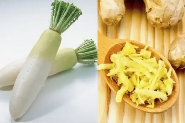 Vì sao mùa nóng nên ăn gừng , mùa rét nên ăn củ cải trắng?