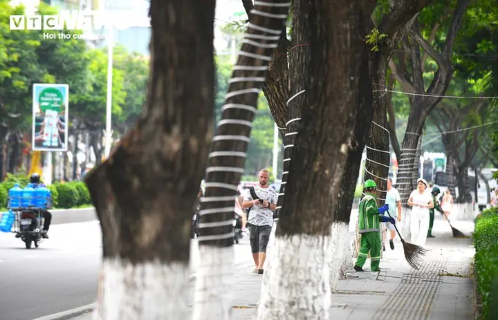 Công trình chắn biển được tháo dỡ, đường ven biển Nha Trang khoe diện mạo mới