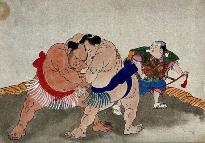 Bí ẩn phía sau vóc dáng và cân nặng 'khủng' của võ sỹ sumo