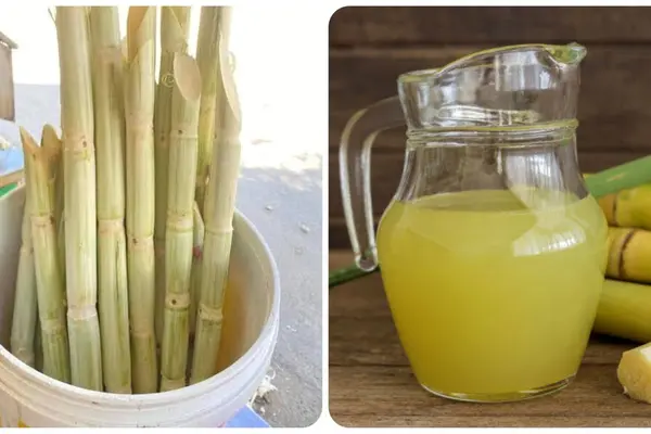Uống nước mía thường xuyên có tốt không?