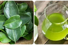 Uống nước lá chanh có tác dụng gì?