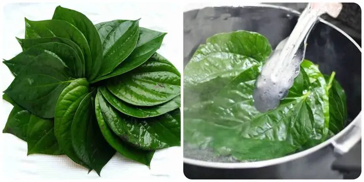 Lá trầu có tác dụng gì?