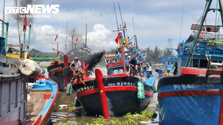Trúng đậm cá cơm trái vụ, ngư dân Quảng Ngãi 'bỏ túi' bạc triệu mỗi ngày