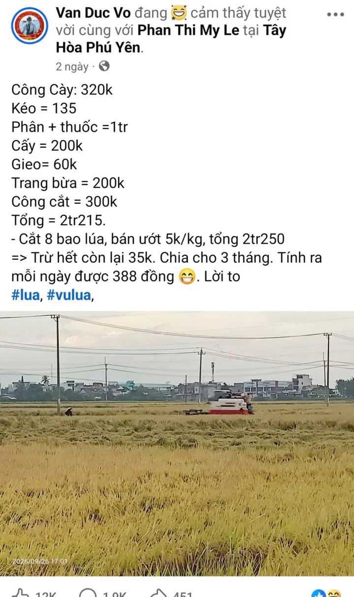 Sau 3 tháng chăm 2 sào lúa, nông dân Đắk Lắk lãi 35.000 đồng