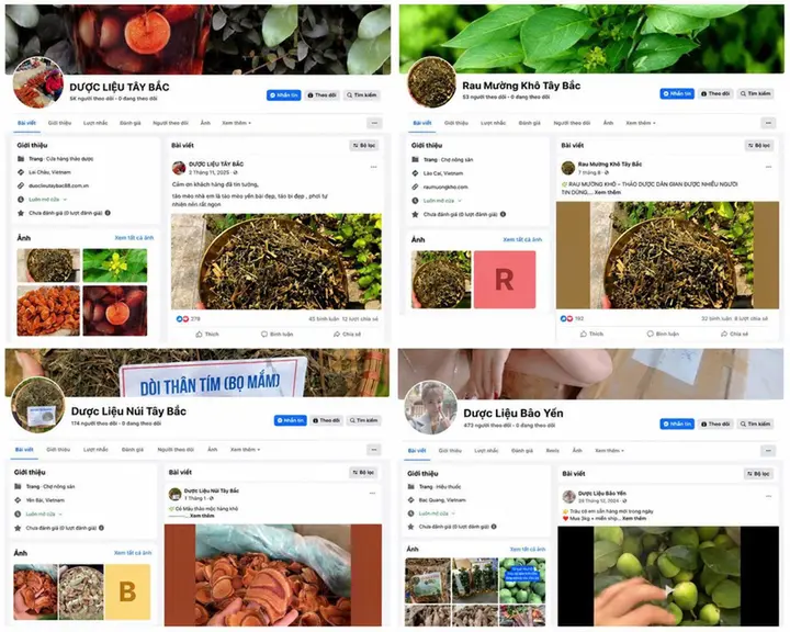 Khởi tố người không bằng cấp y dược, thổi phồng công dụng thảo mộc để bán