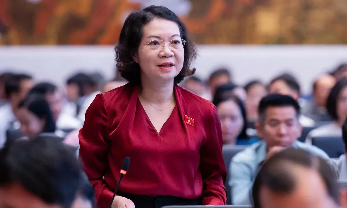ĐBQH đề nghị cân nhắc việc hoãn xuất cảnh, cắt điện nước để cưỡng chế xử phạt