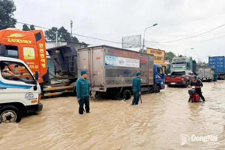 Mưa lớn gây ngập cục bộ tại nhiều địa phương ở Đồng Nai