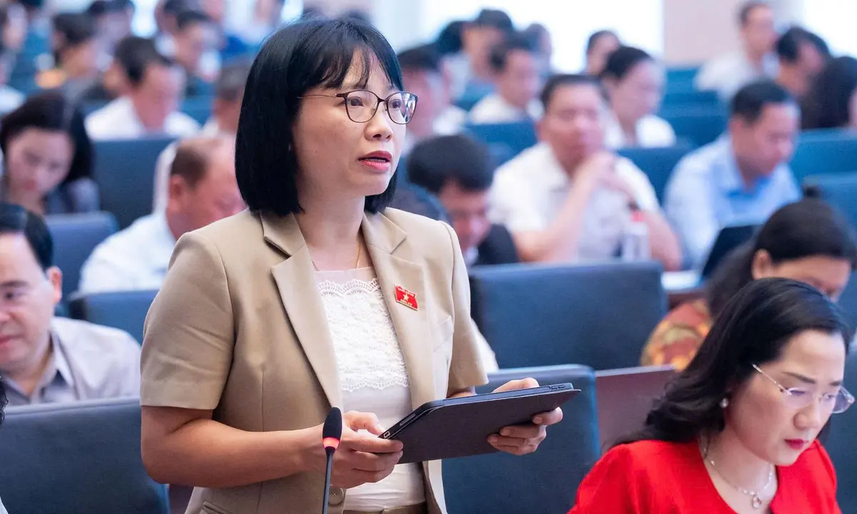 ĐBQH đề nghị cân nhắc việc hoãn xuất cảnh, cắt điện nước để cưỡng chế xử phạt