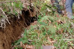 Vết nứt dài 800 mét trên sườn đồi ở Thanh Hóa, đe dọa 28 hộ dân