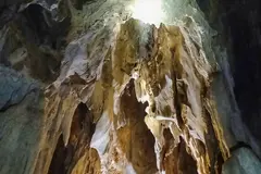 Phát hiện hang động nhiều tầng trong rừng nguyên sinh ở Nghệ An