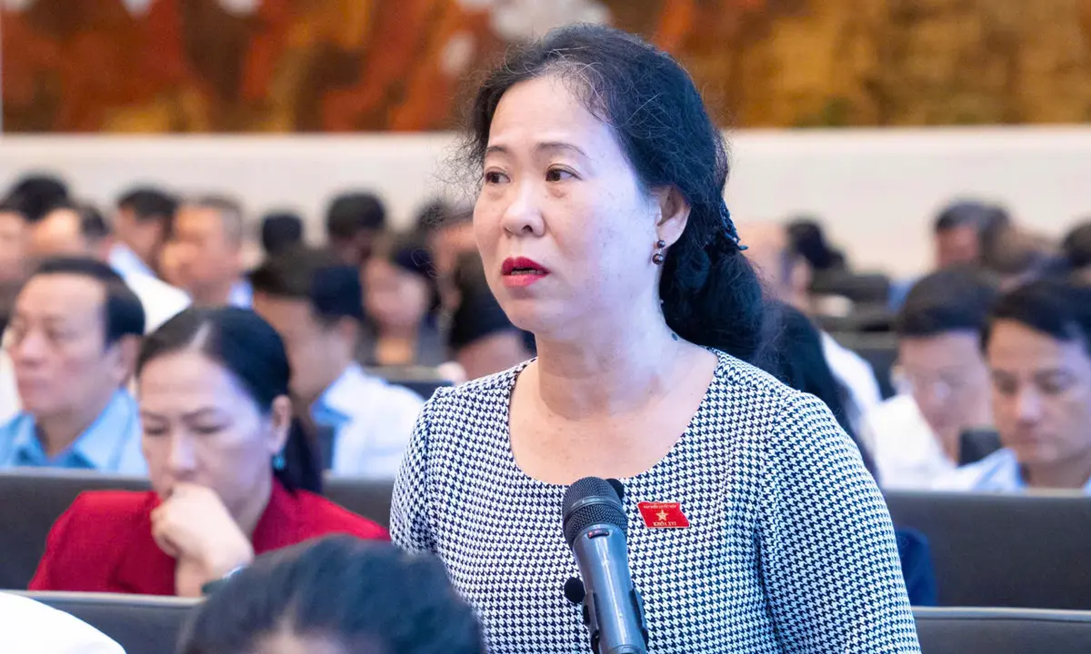 ĐBQH: Giá điện không thể là cơ chế chuyển mọi rủi ro, chi phí sang người sử dụng