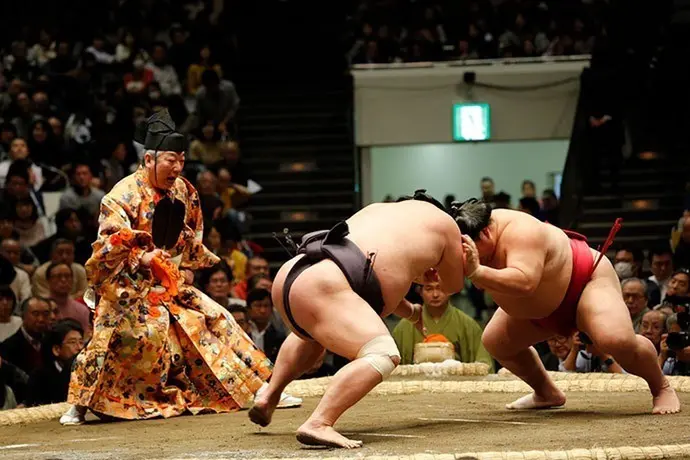 Bí ẩn phía sau vóc dáng và cân nặng 'khủng' của võ sỹ sumo