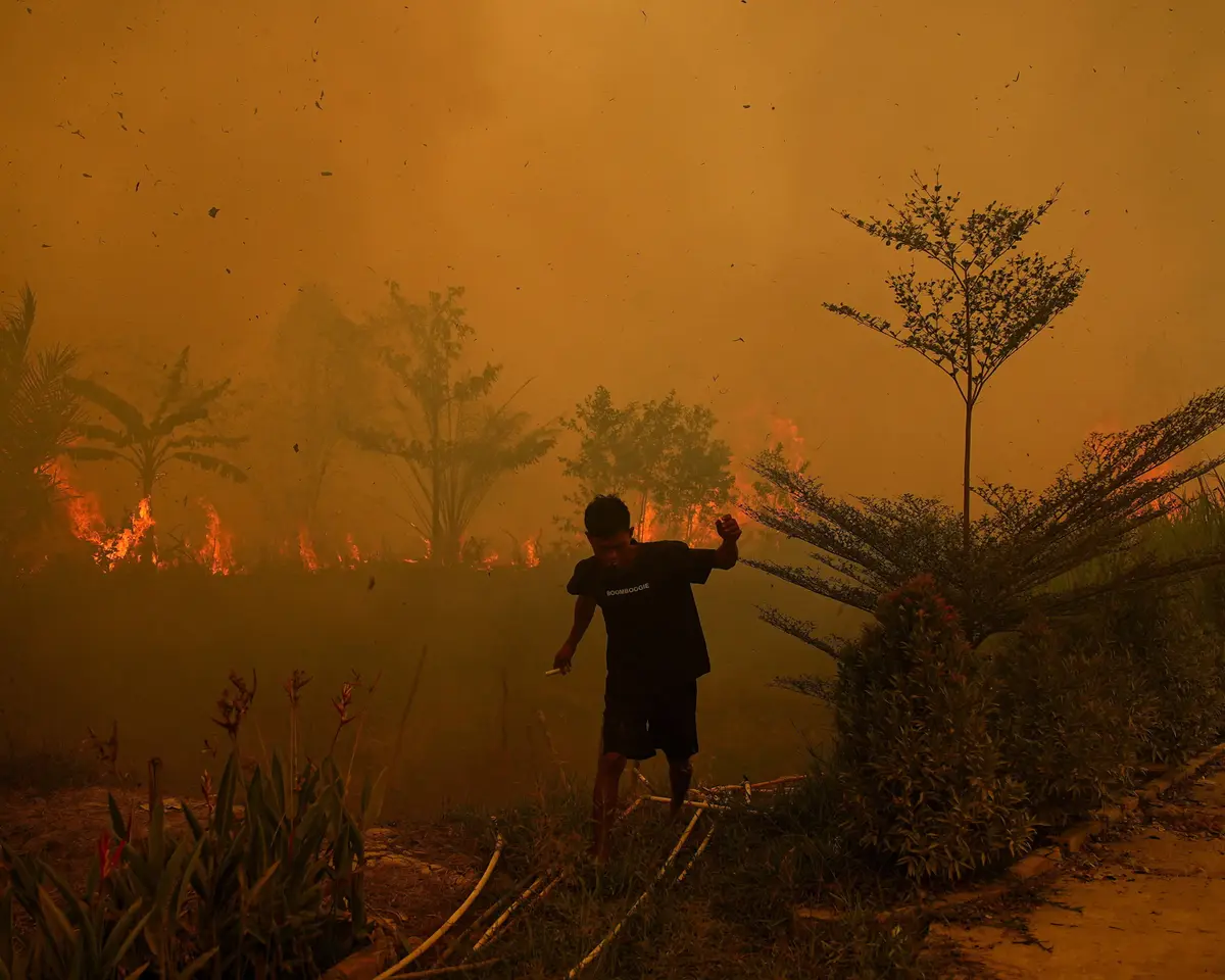 Cháy rừng do El Nino thiêu rụi gần 300 ngôi nhà ở Indonesia