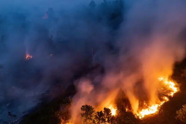 Cháy rừng do El Nino thiêu rụi gần 300 ngôi nhà ở Indonesia