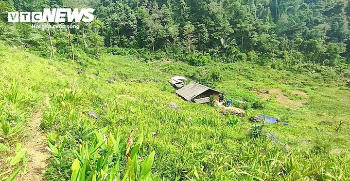 Cao Bằng: Hơn 2.300 cây lê mang hy vọng thoát nghèo cho người dân xã Hòa An