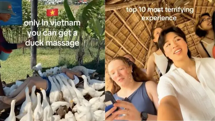 Khách Tây đi massage vịt, cá ở Việt Nam khen 'kỹ thuật viên rất tốt, rất hài'