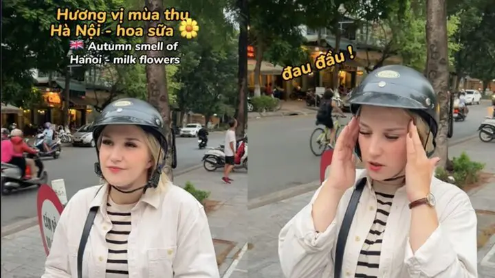 Khách Tây nghĩ sao về hương hoa sữa tại Hà Nội?