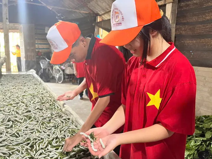 Về Trấn Yên xem kén vàng xe tơ: Trải nghiệm mới ở vựa dâu tằm lớn nhất miền Bắc