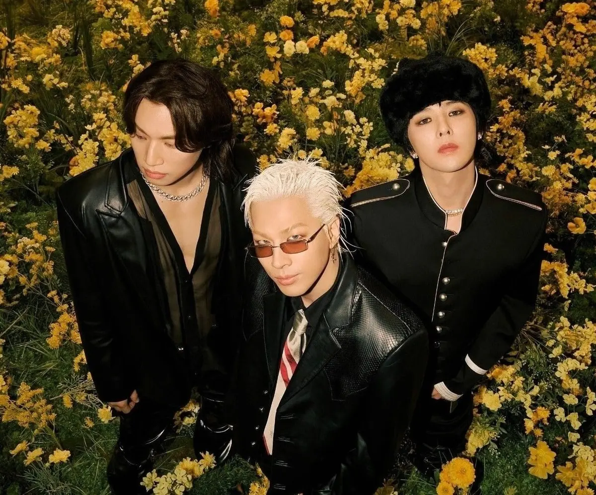 Bùng nổ concert ở Việt Nam