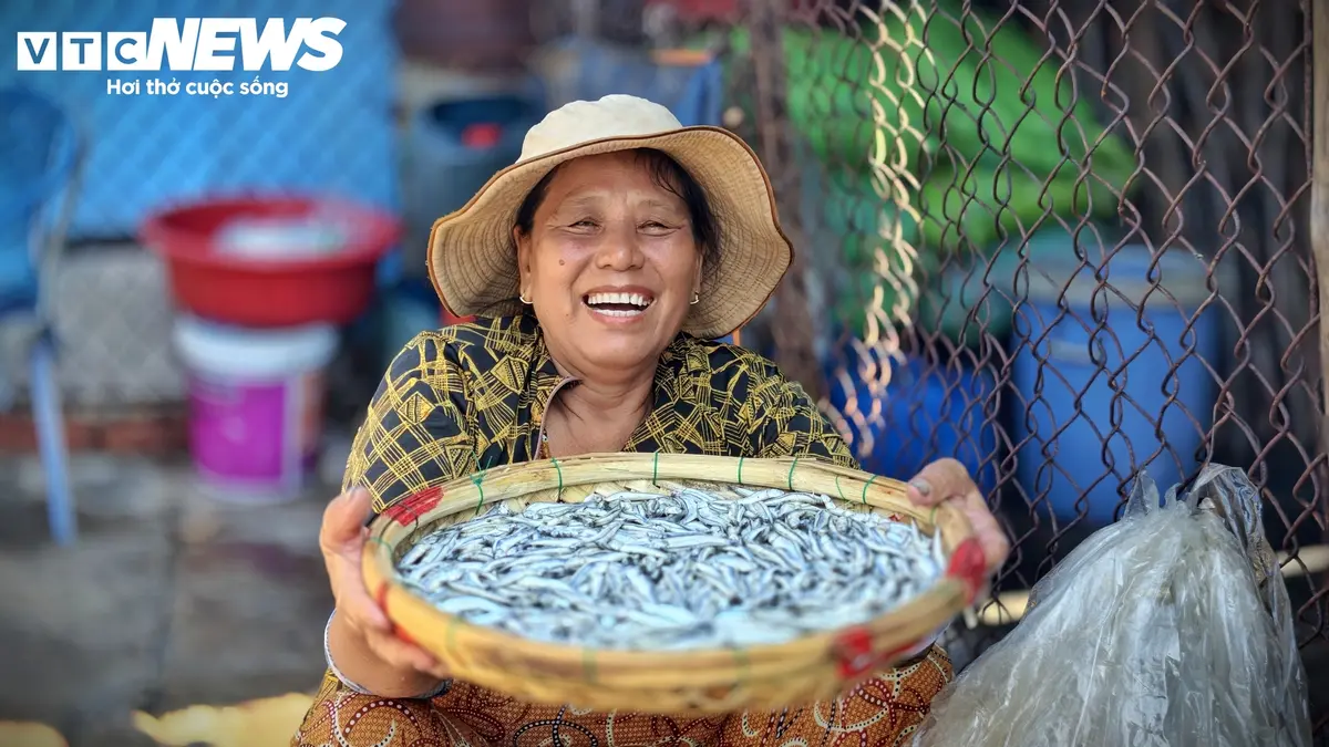 Trúng đậm luồng cá cơm dày đặc áp bờ, làng chài Gia Lai sôi động ngày đêm