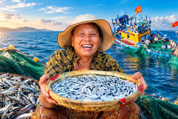 Trúng đậm luồng cá cơm dày đặc áp bờ, làng chài Gia Lai sôi động ngày đêm