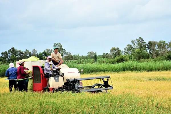 Cà Mau gỡ điểm nghẽn vốn để nông dân làm kinh tế nông nghiệp