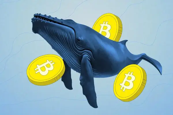'Cá voi' Bitcoin bất ngờ 'thức giấc' sau 6 năm