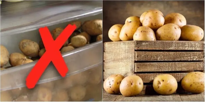 Những sai lầm khiến tủ lạnh thành 'mồ chôn thực phẩm'