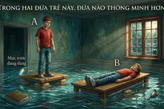 Thử thách sinh tồn: Ai thông minh hơn khi nước tràn vào phòng?