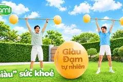 Khám phá giá trị nguồn đạm lành từ 'hạt vàng tự nhiên'