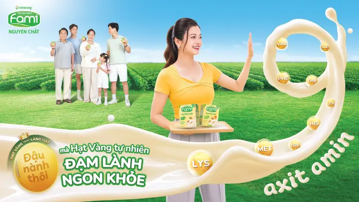 Khám phá giá trị nguồn đạm lành từ 'hạt vàng tự nhiên'