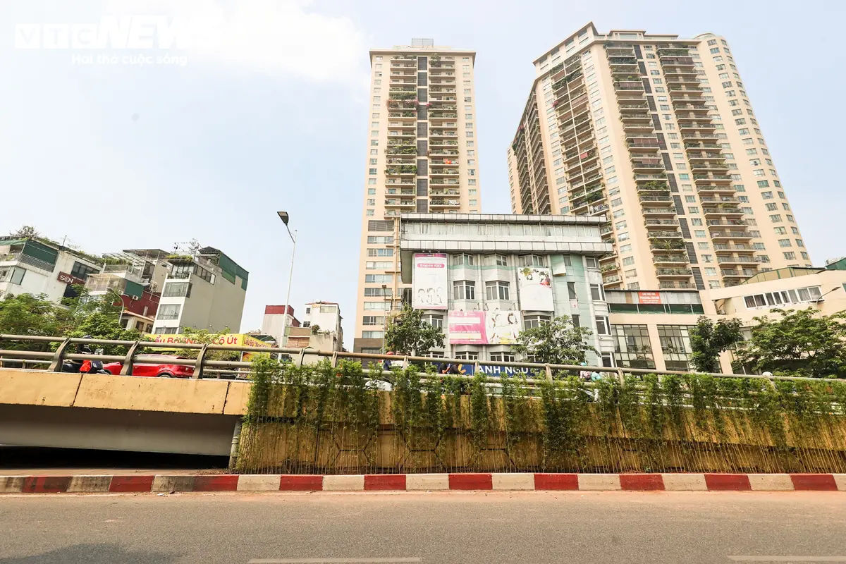 Loạt trụ cầu đường sắt, cầu vượt ở Hà Nội bắt đầu được phủ xanh