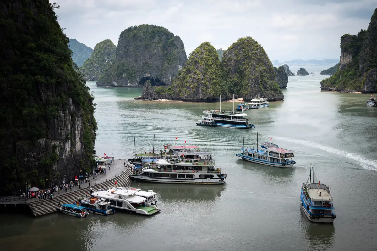Báo ngoại: 'Du khách nên chiêm ngưỡng vịnh Hạ Long một lần trong đời'