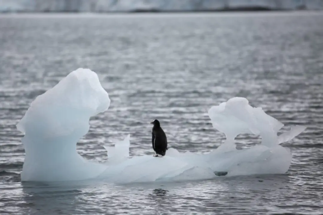 El Nino có thể giúp châu Á giảm áp lực năng lượng