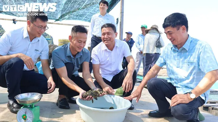 Ứng dụng công nghệ enzyme và lồng nhựa HDPE trong sản xuất thủy sản Vân Đồn