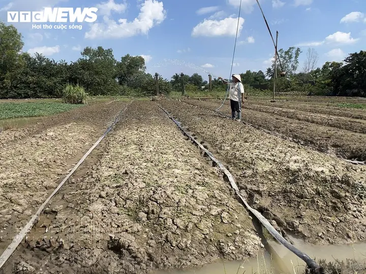 Mưa ngập kéo dài khiến giá rau TP.HCM tăng mạnh, người tiêu dùng thêm áp lực