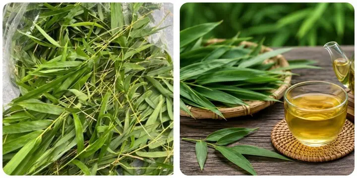 Bài thuốc chữa bệnh từ lá tre