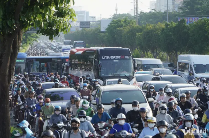 Cây cổ thụ cao 20m đổ chắn đường, trung tâm TP.HCM kẹt xe kéo dài