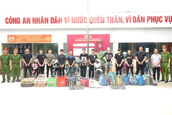 Bắt 12 người trong đường dây trộm, tiêu thụ 2.700 con mèo