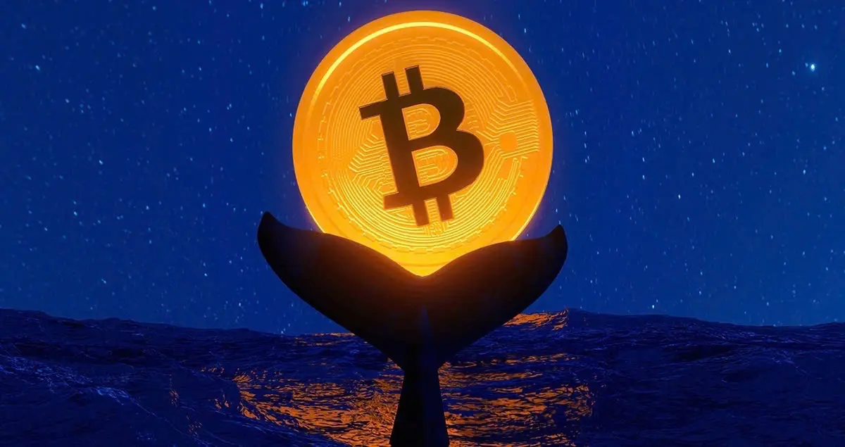 'Cá voi' Bitcoin bất ngờ 'thức giấc' sau 6 năm