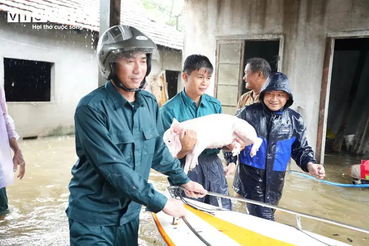 Dân Quảng Ngãi bế lợn 'chạy' lũ, nhiều khu vực phía Nam Đà Nẵng ngập sâu