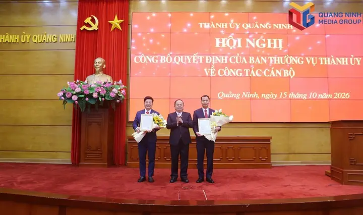Quảng Ninh điều động, bổ nhiệm loạt cán bộ cấp sở, ngành và lãnh đạo xã, phường