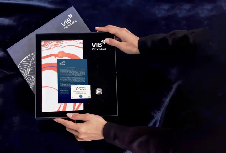 VIB Privilege Banking đưa khách hàng nhìn lại câu chuyện mỹ thuật thời Đổi mới