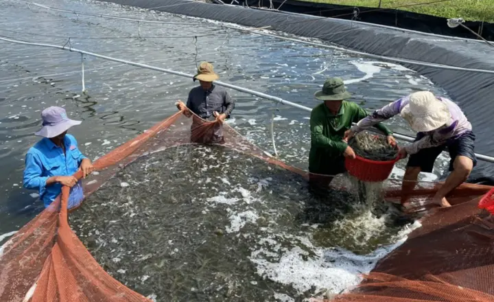 Đối thoại với nông dân, Cà Mau tìm lời giải cho phát triển nông nghiệp