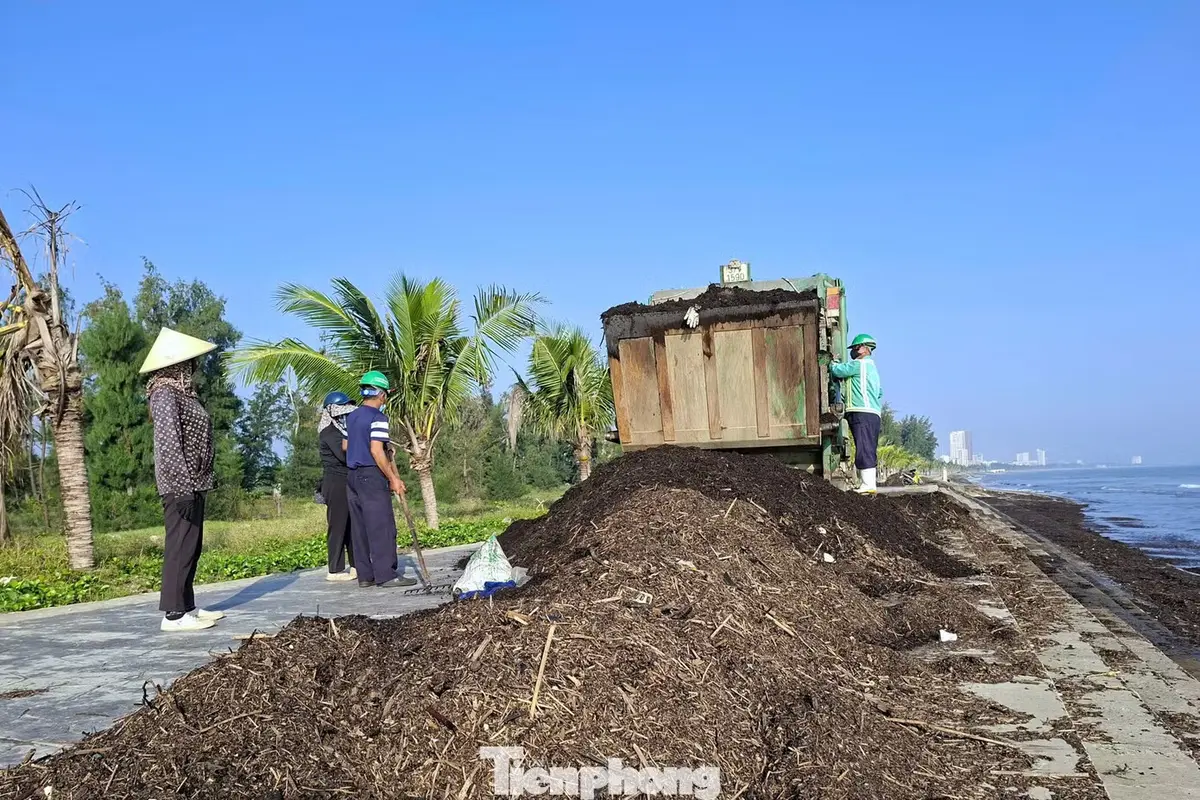 Cảnh tượng lạ ở biển Cửa Lò