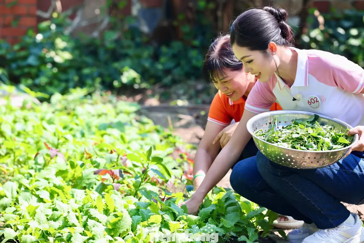 Ngày đặc biệt ở Làng trẻ SOS Hải Phòng của các cô gái Hoa hậu Việt Nam