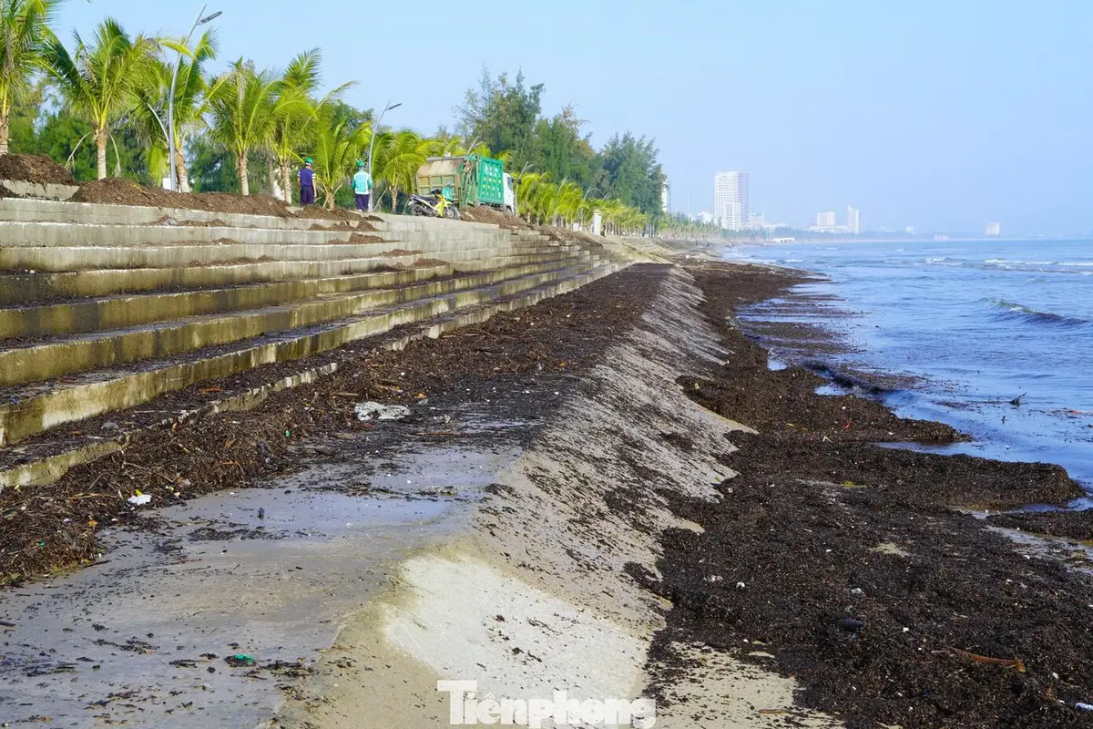 Cảnh tượng lạ ở biển Cửa Lò