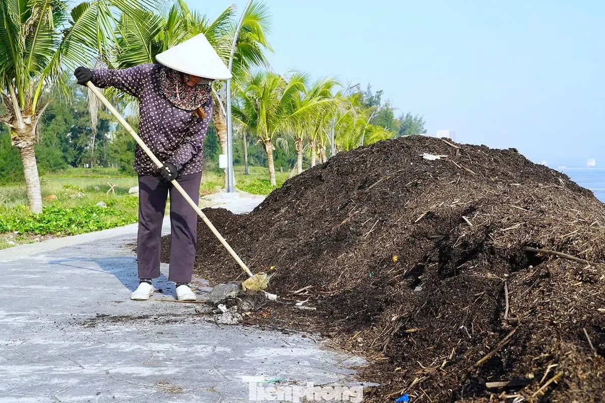 Cảnh tượng lạ ở biển Cửa Lò